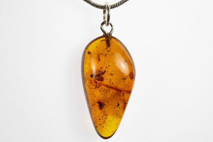Polished Baltic Amber Pendant (Necklace) - Contains Insect! #328470